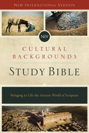 Image of NIV, Cultural Backgrounds Study Bible, Red Letter Edition other