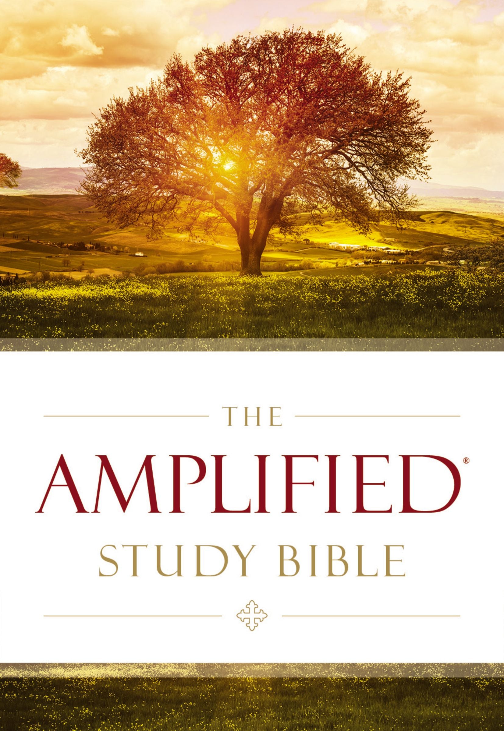 Image of Amplified Study Bible, Brown, Hardback, Large Print, Study and Practical Theological Notes, Book Introductions, Translators' Footnotes, Topical Index, Full-Colour Maps other