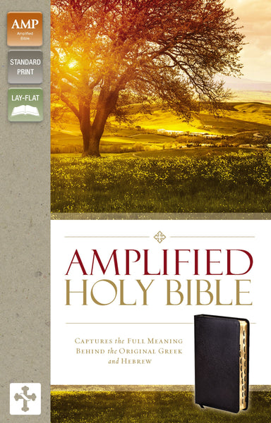 Image of Amplified Thinline Holy Bible: Thumb Indexed, Silver Edges other