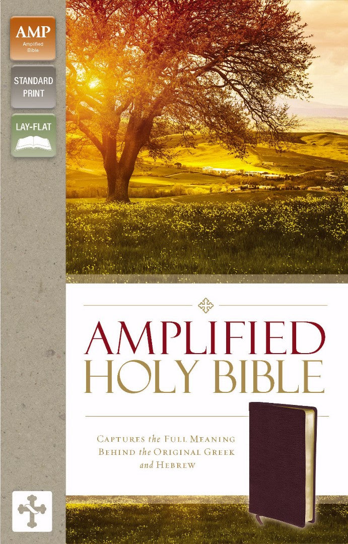 Image of Amplified Thinline Holy Bible: Burgundy, Bonded Leather other