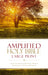 Image of Amplified Bible, Brown, Hardback, Large Print, Footnotes, Book Introductions, Bibliography, Glossary, Devotional Insights other