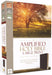 Image of Amplified Large Print Holy Bible: Burgundy, Bonded Leather, Thinline other
