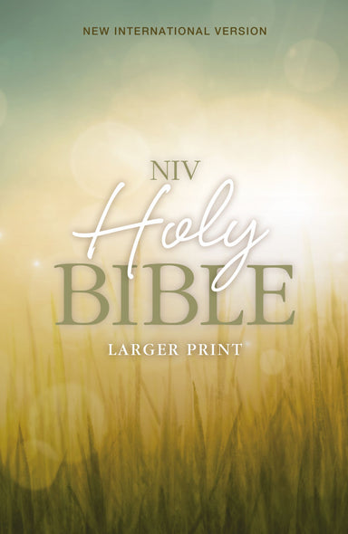 Image of Holy Bible-NIV other