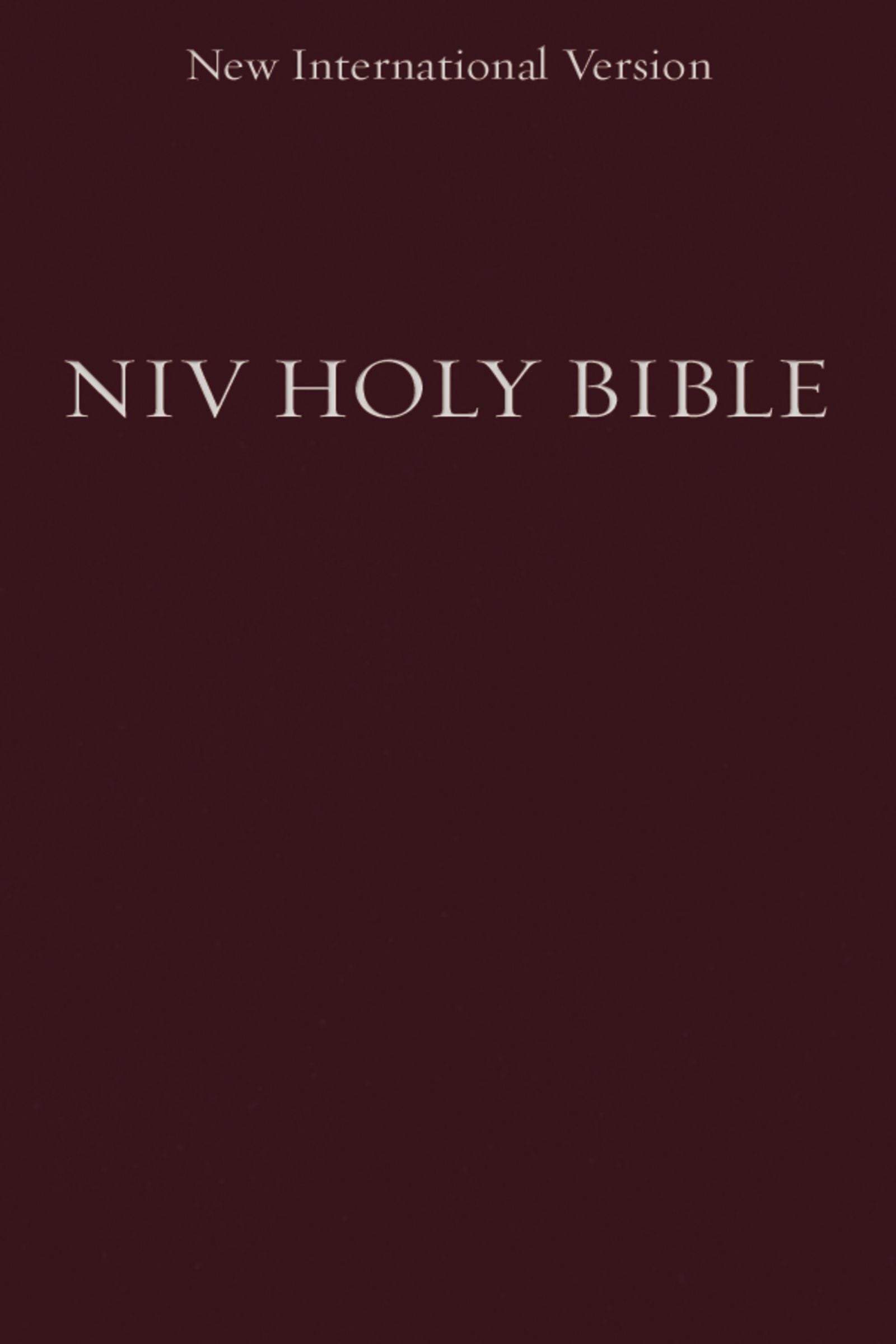 Image of NIV, Holy Bible, Compact, Paperback, Burgundy other