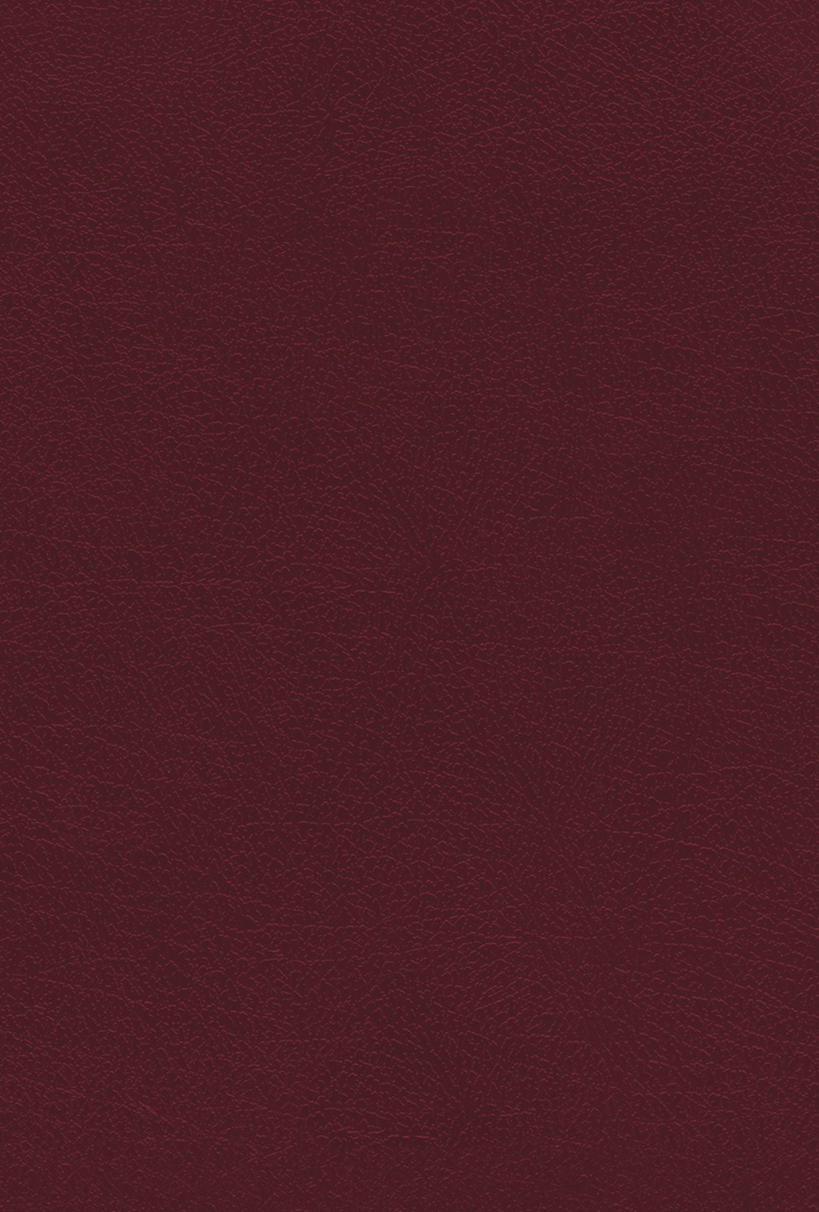 Image of NIV, KJV, NASB, Amplified, Parallel Bible, Bonded Leather, Burgundy other