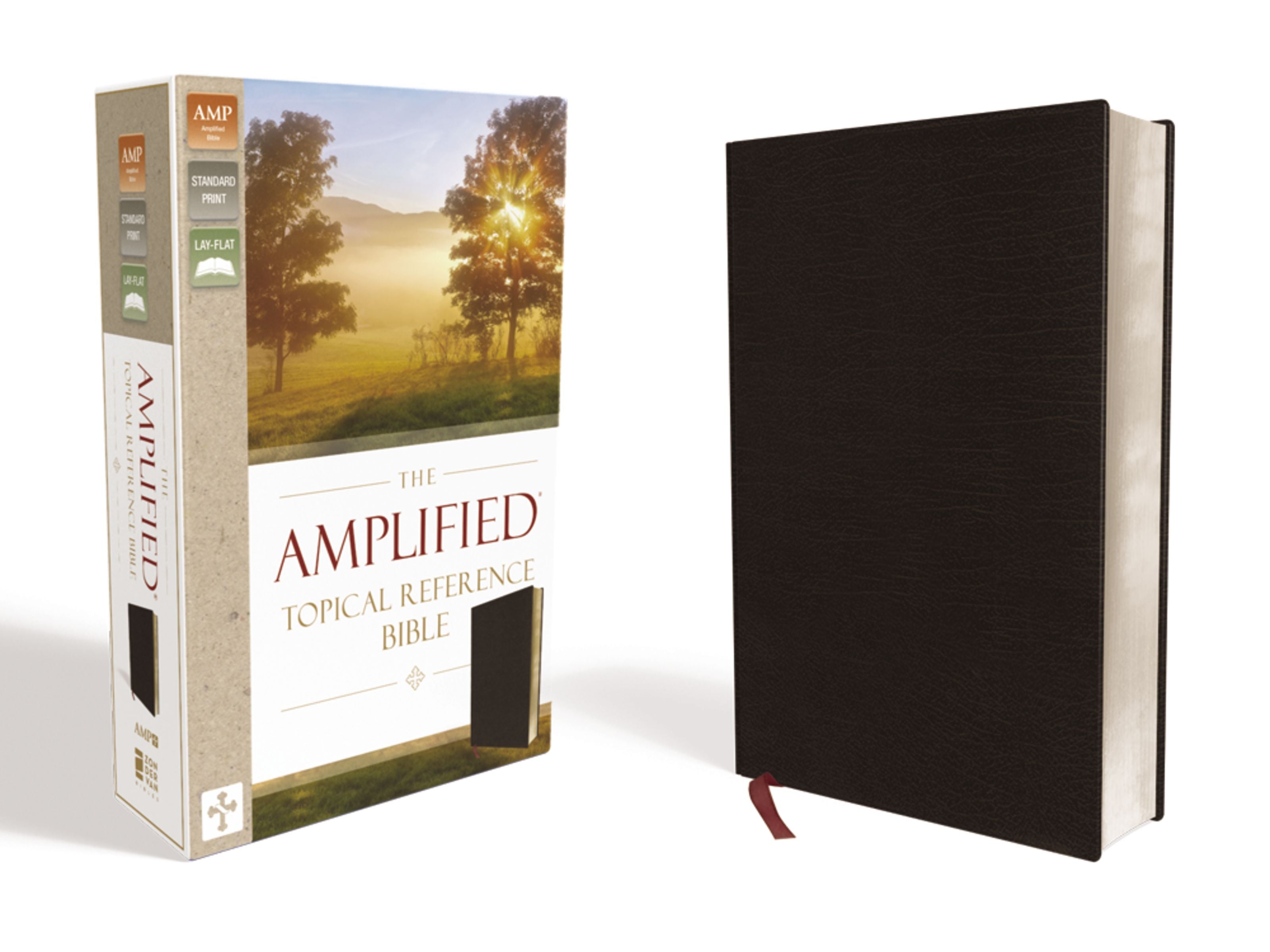 Image of Amplified Topical Reference Bible other