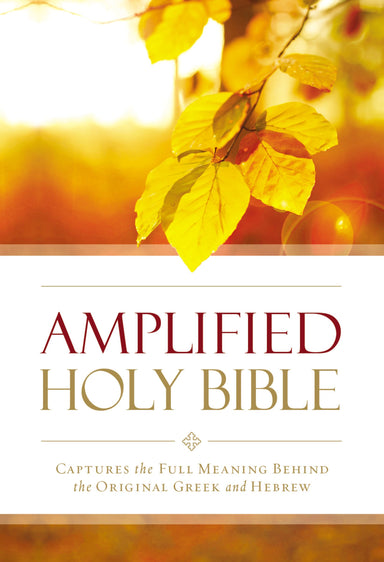 Image of Amplified Outreach Bible, Paperback,God's Promises and Perspectives from the Bible, Double-Column Format other