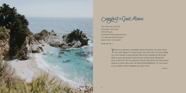 Image of The Book of Comforts other