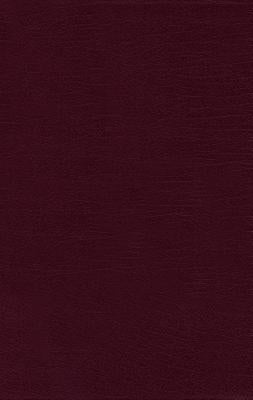 Image of Nrsv, Thinline Bible, Large Print, Bonded Leather, Burgundy, Comfort Print other