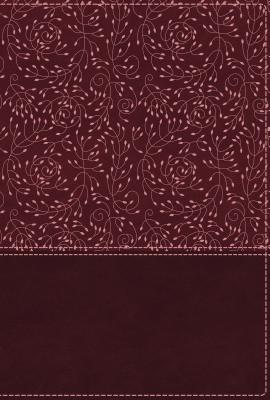Image of NRSV, Cultural Backgrounds Study Bible, Leathersoft, Burgundy, Comfort Print other