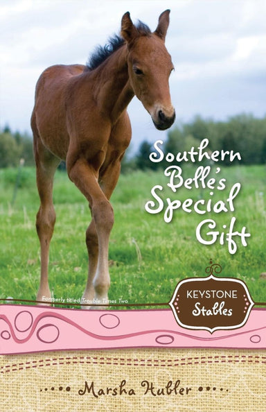 Image of Southern Belle's Special Gift other
