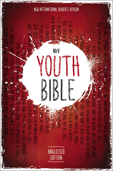 Image of NIRV Youth Bible other