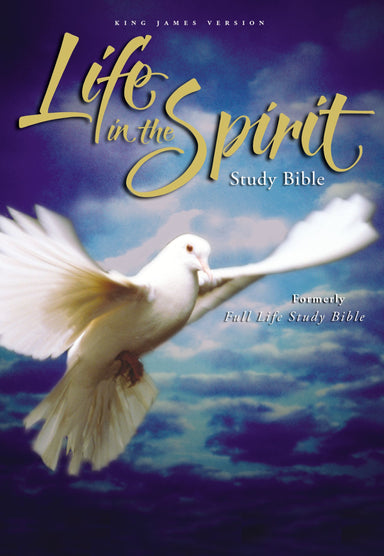 Image of KJV Life in the Spirit Study Bible: Hardback other
