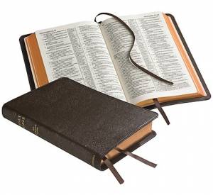Image of NKJV Pitt Minion Reference Bible: Brown, Goatskin Leather other