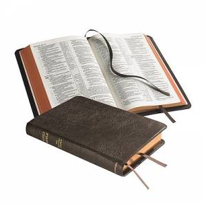Image of NASB Pitt Minion Reference Edition: Brown, Goatskin Leather other