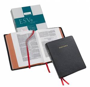 Image of ESV Wide Margin Reference Bible: Black, Goatskin Leather other