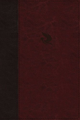 Image of NKJV, Spirit-Filled Life Bible, Third Edition, Leathersoft, Burgundy, Red Letter, Comfort Print other