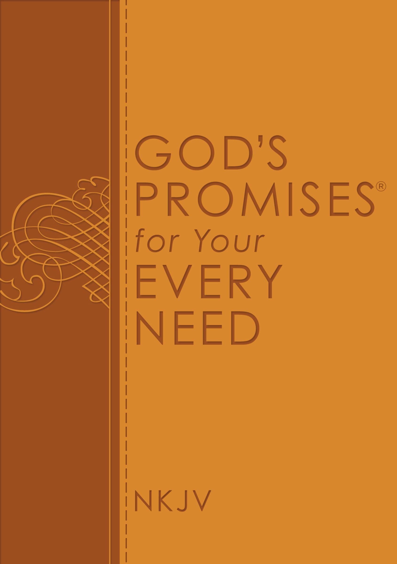 Image of God's Promises for Your Every Need, NKJV other