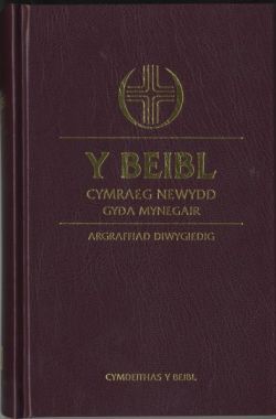 Image of Beibl Cymraeg Newydd Revised with Concordance other