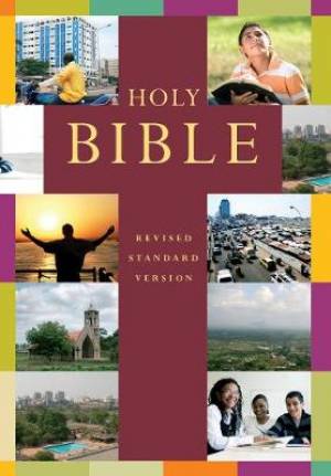 Image of RSV Popular Illustrated Holy Bible other