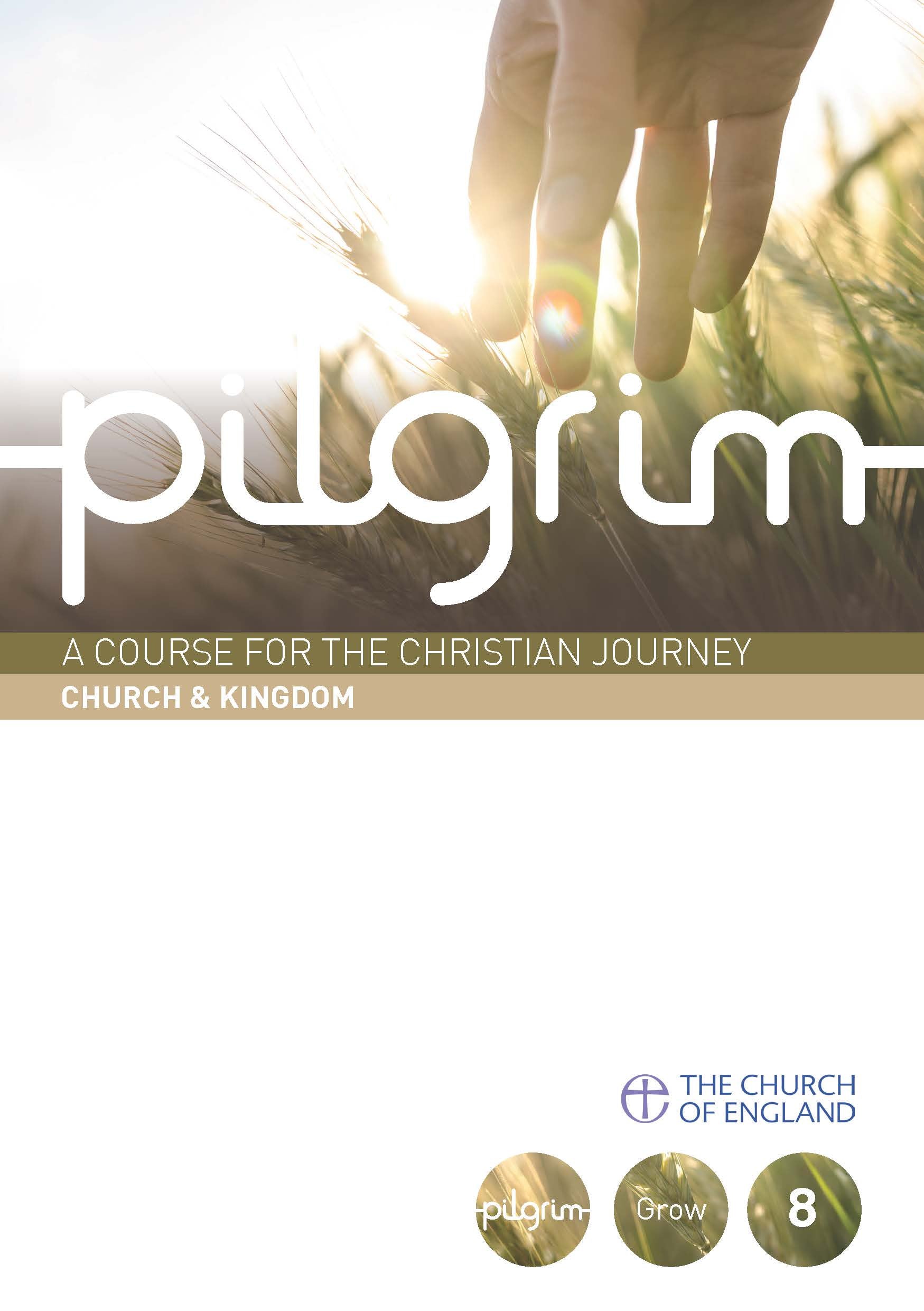 Image of Pilgrim: Church & Kingdom other