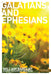 Image of The Letters to the Galatians and Ephesians other