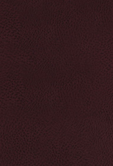 Image of The King James Study Bible, Bonded Leather, Burgundy, Indexed, Full-Color Edition other