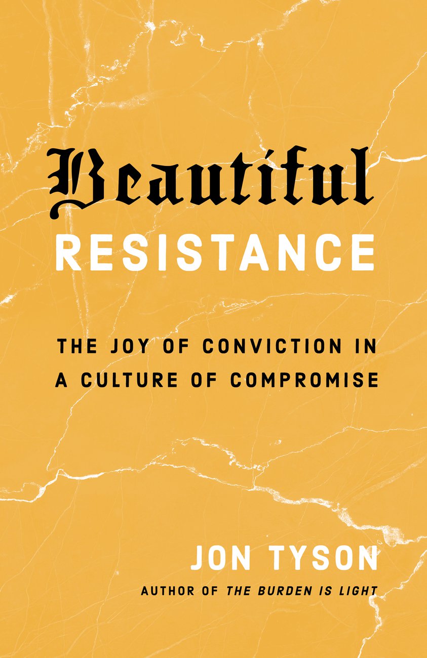 Image of Beautiful Resistance other