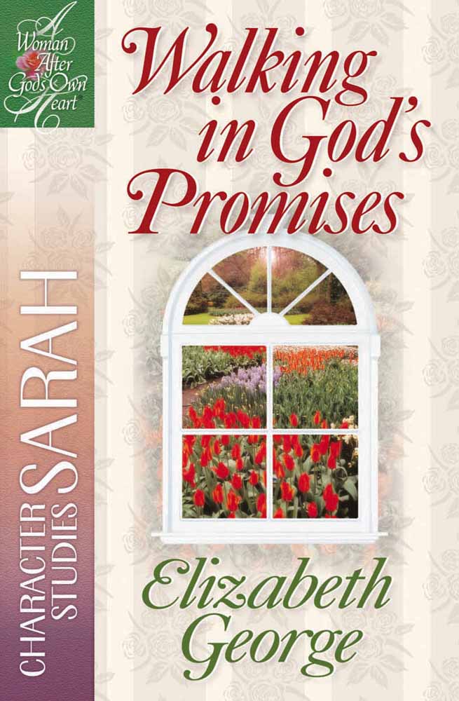 Image of Walking in God's Promises other
