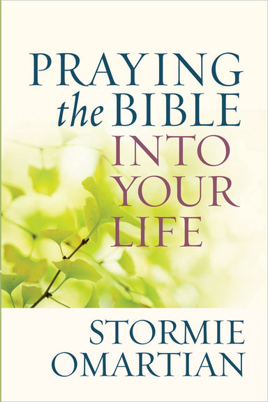 Image of Praying The Bible Into Your Life other