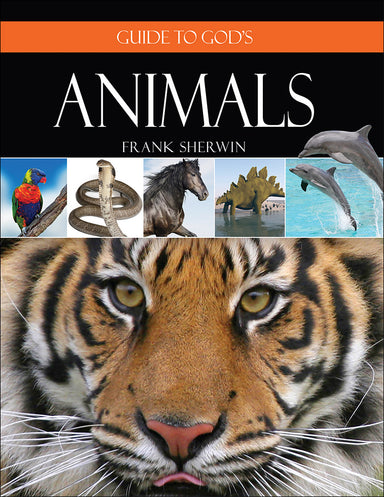 Image of Guide to God's Animals other