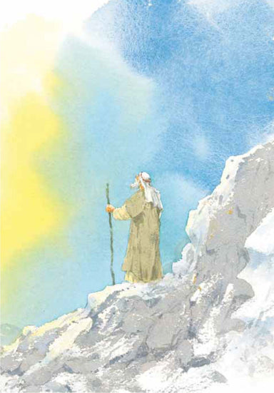 Image of The Children's Bible in 365 Stories, Hardback other