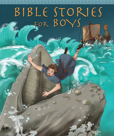 Image of Bible Stories for Boys other