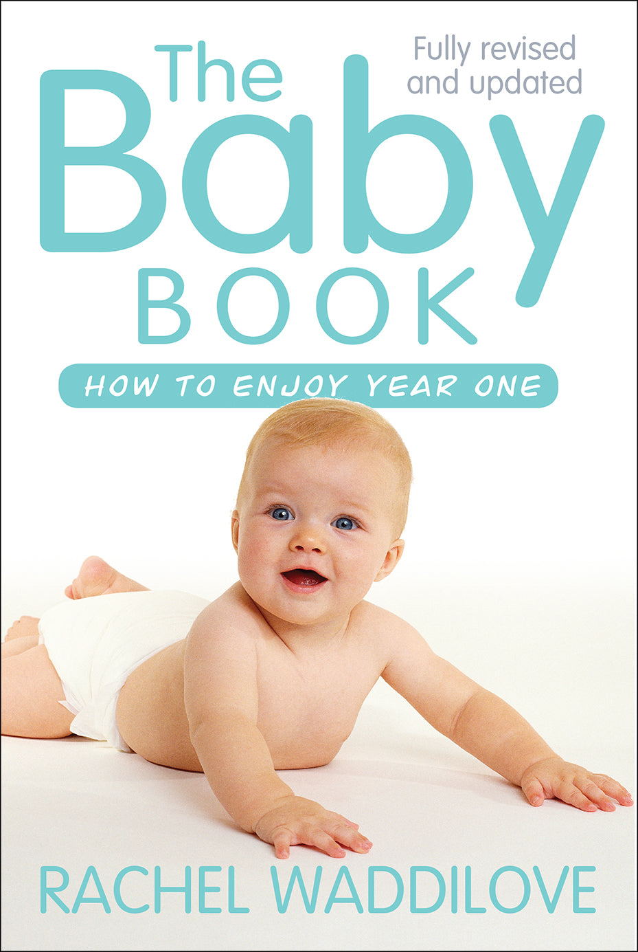 Image of The Baby Book other