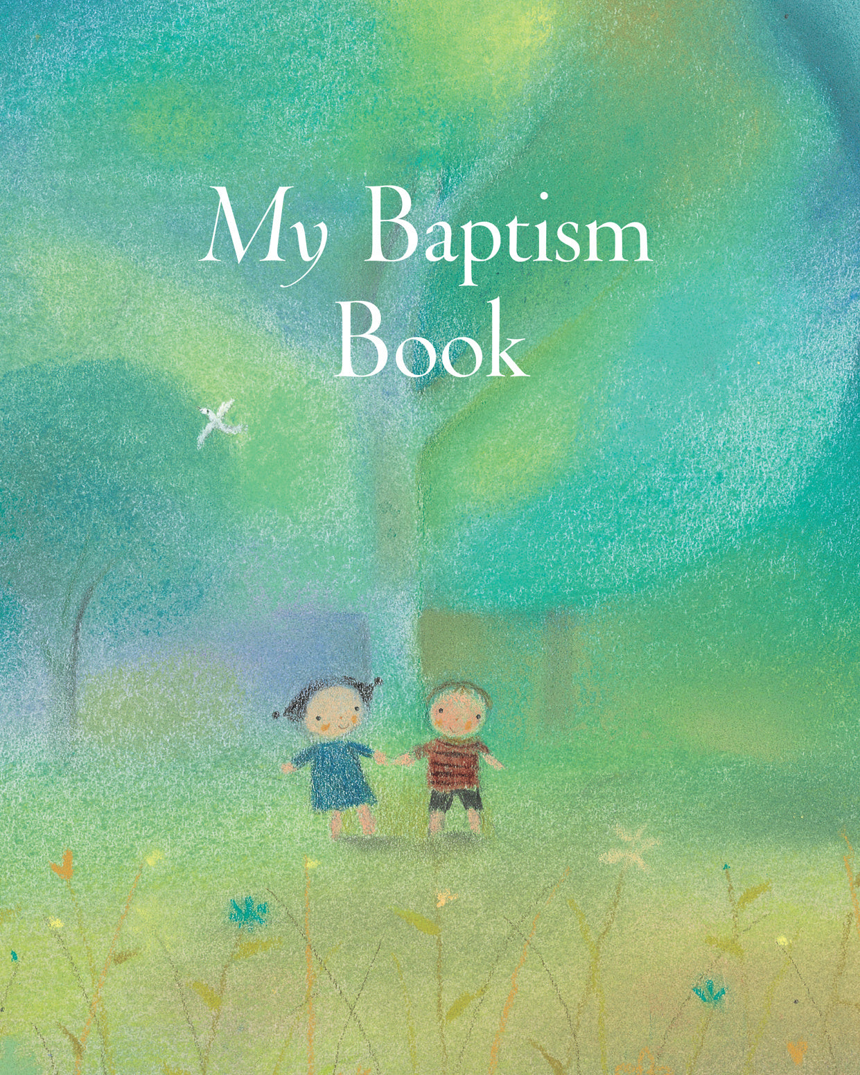 Image of My Baptism Book (large print) other