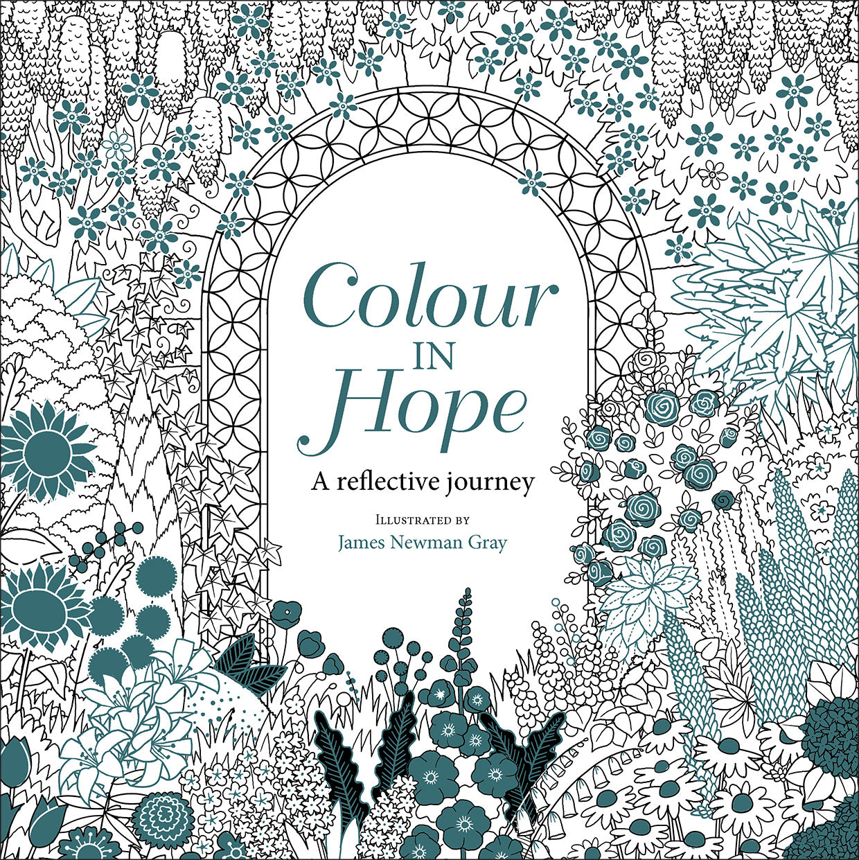 Image of Colour in Hope other