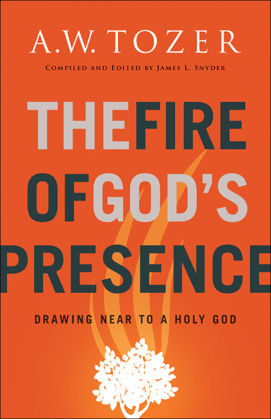Image of The Fire of God's Presence other