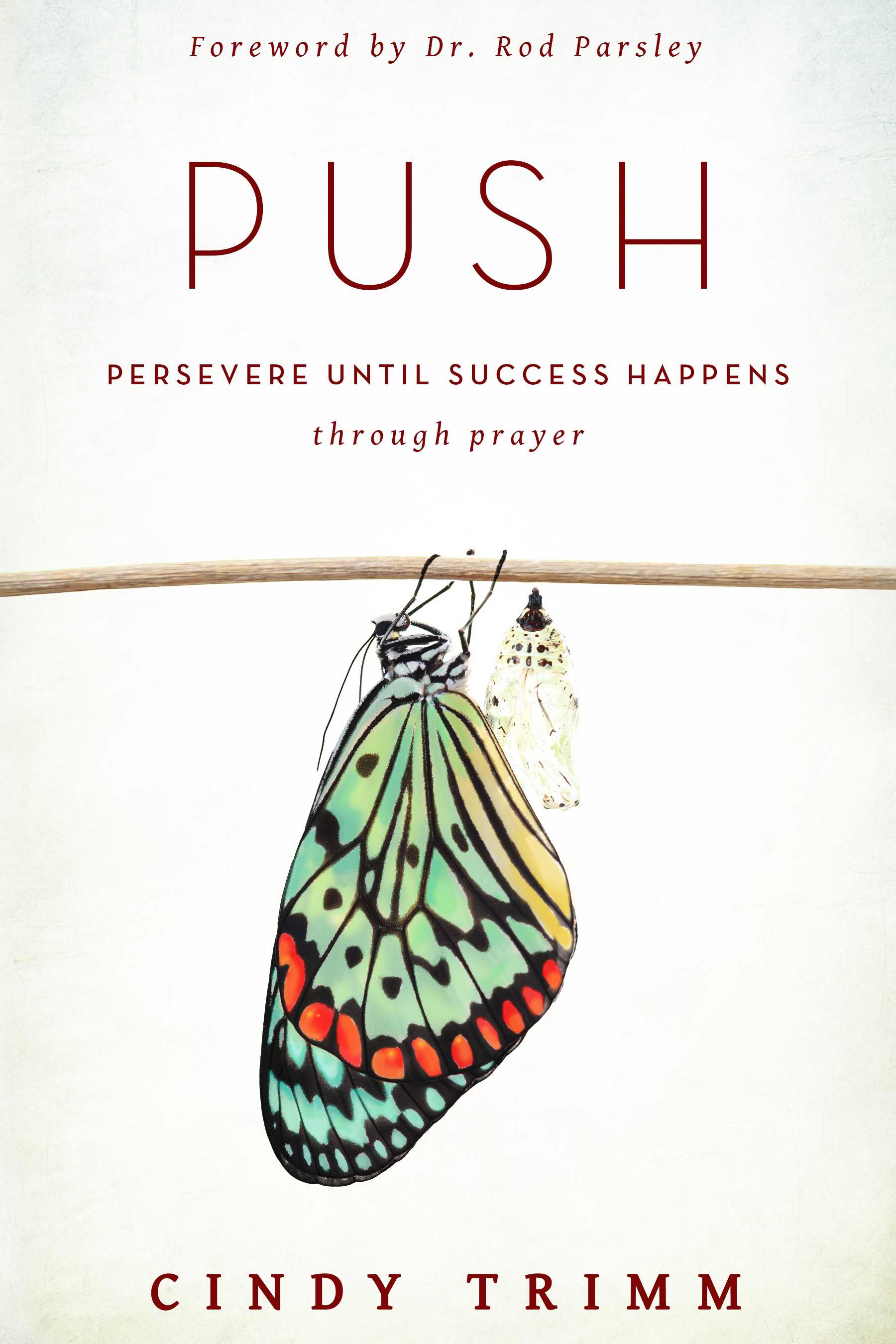 Image of PUSH: Persevere Until Success Happens Through Prayer Paperback other