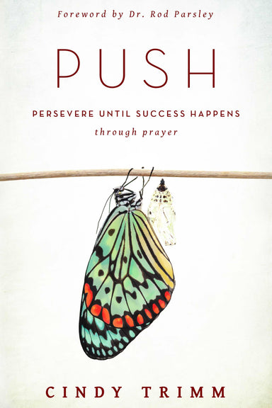 Image of PUSH: Persevere Until Success Happens Through Prayer Paperback other