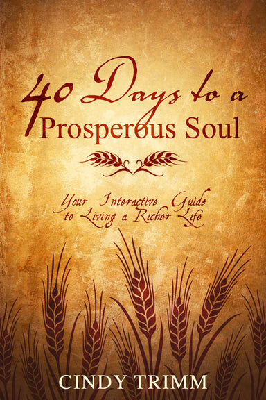 Image of 40 Days To A Prosperous Soul Paperback other
