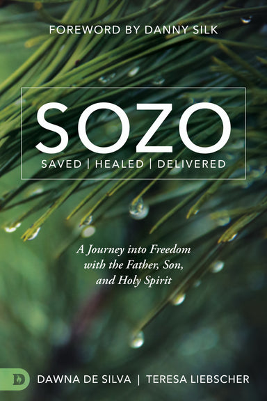 Image of Sozo Saved Healed Delivered other