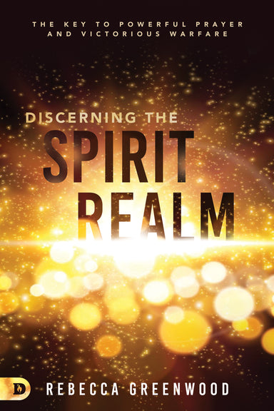 Image of Discerning the Spirit Realm other