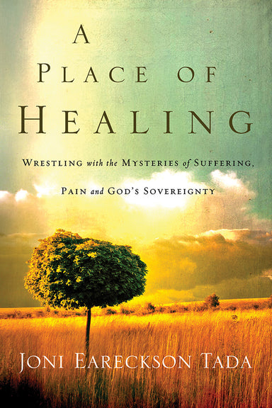 Image of A Place of Healing other