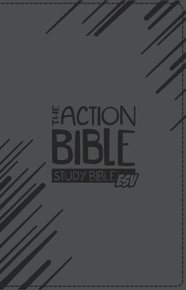 Image of The Action Bible Study Bible ESV, Slate Gray, Premium Imitation Leather, Illustrated other