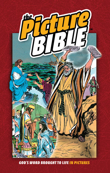 Image of The Picture Bible other