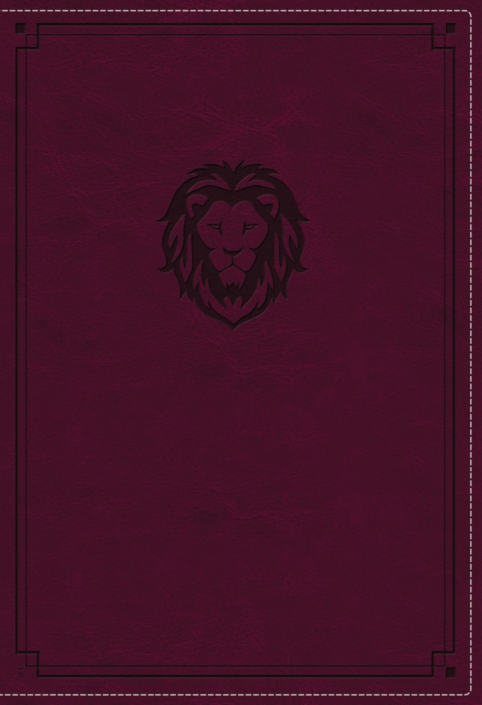 Image of KJV, Thinline Bible Youth Edition other