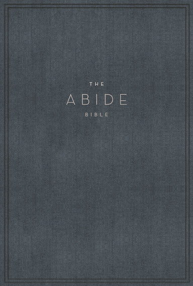 Image of The NET, Abide Bible, Cloth over Board, Blue, Comfort Print other