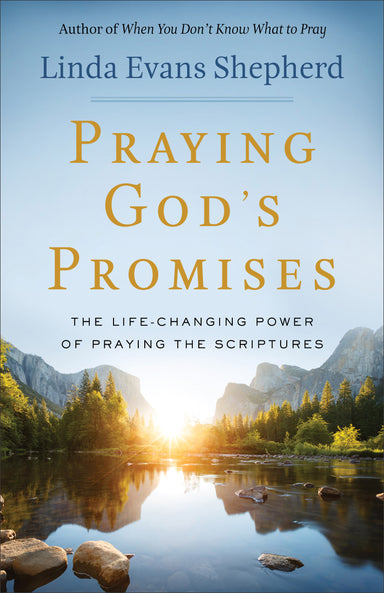 Image of Praying God's Promises other