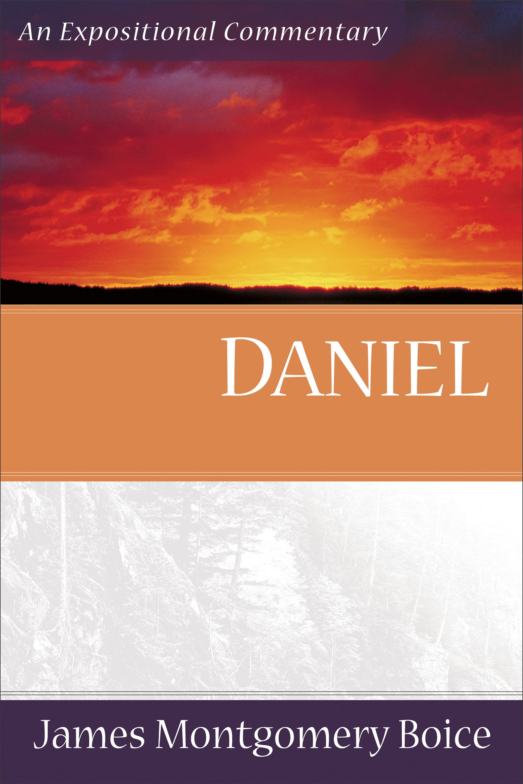 Image of Daniel : Expositional Commentary other