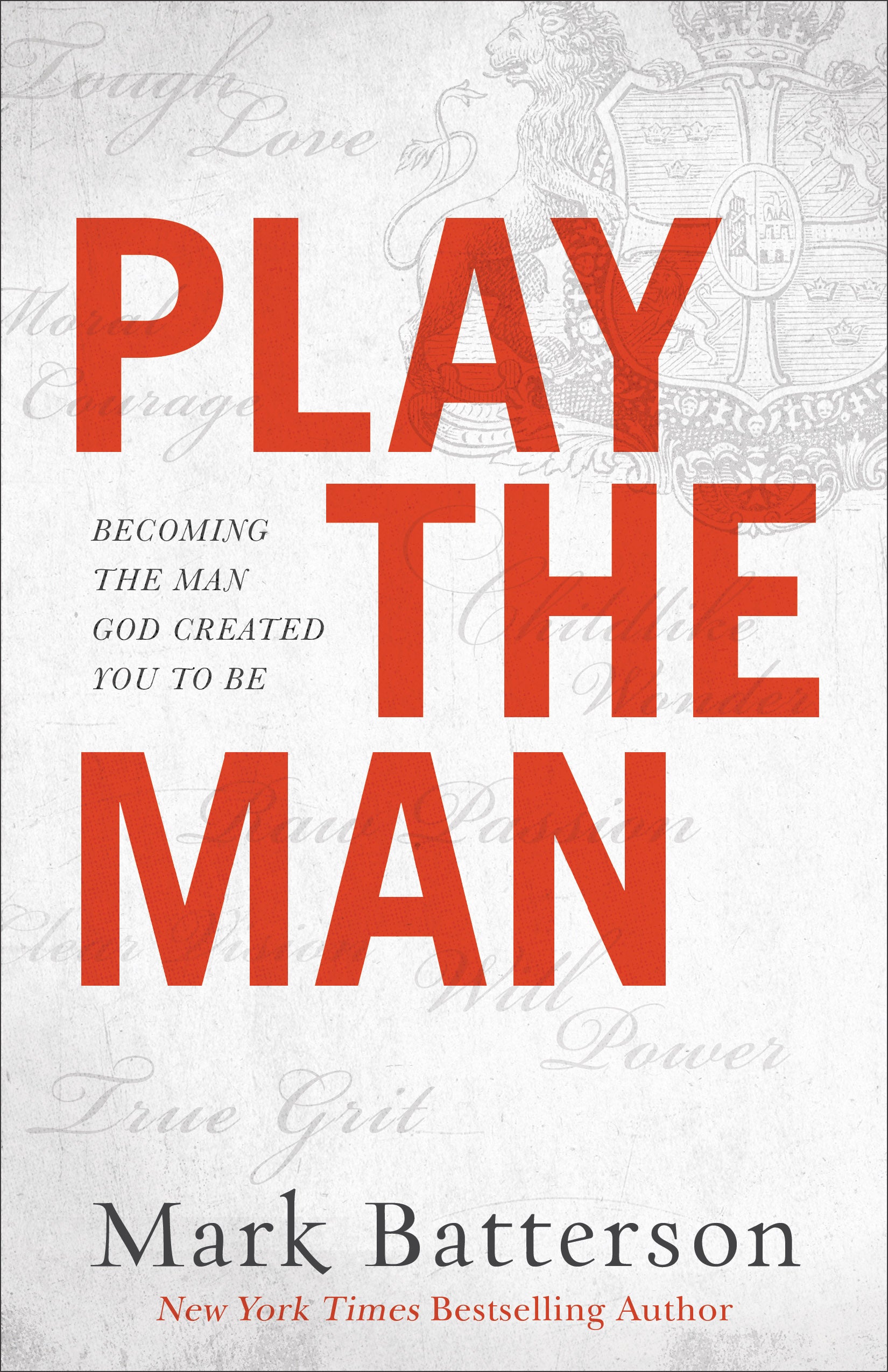 Image of Play the Man other